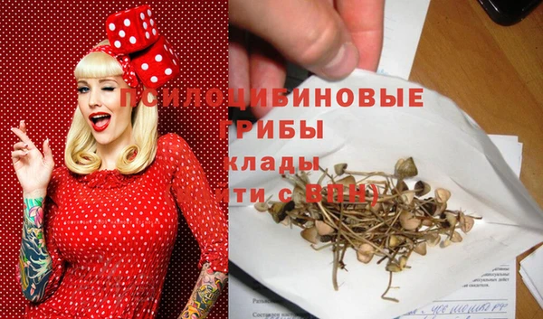 дурь Абинск