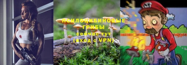 дурь Абинск