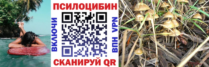 Галлюциногенные грибы ЛСД цена наркотик Покачи