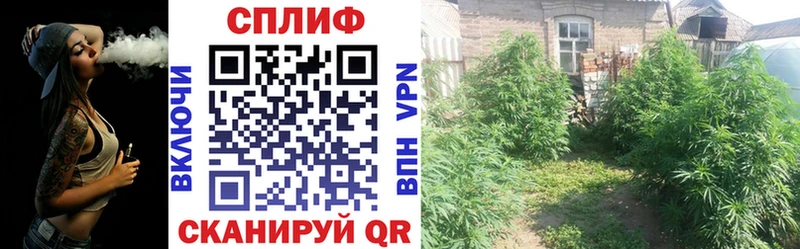 купить наркотики цена  kraken зеркало  shop наркотические препараты  Покачи  Канабис MAZAR 